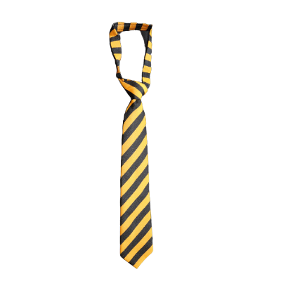 Ties - Penzance Primary School