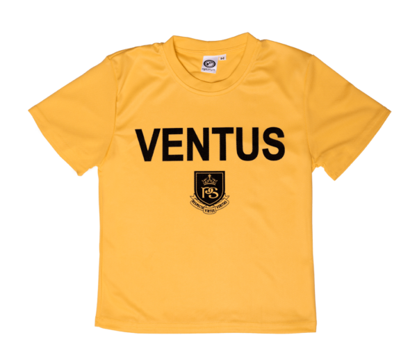 House Shirts